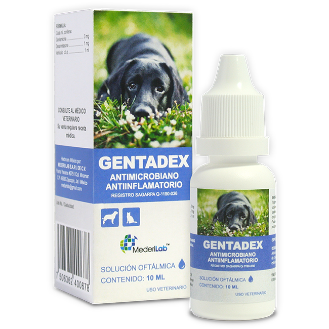 Gentadex Antibiótico Bactericida Solución Oftálmica - MederiLab Gentadex Antibiótico Bactericida Solución Oftálmica - MederiLab